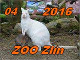 Zlin