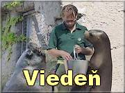 Vieden