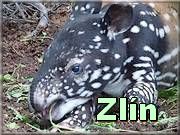 Zlin