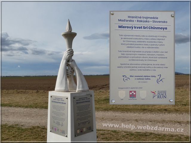 mierovy kvet